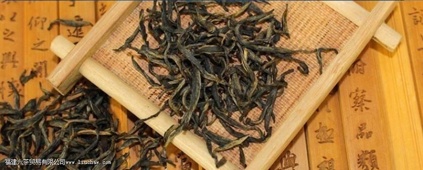 ��ü��������