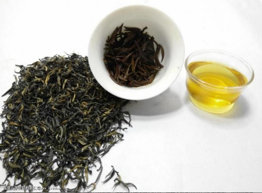 ��ü��������