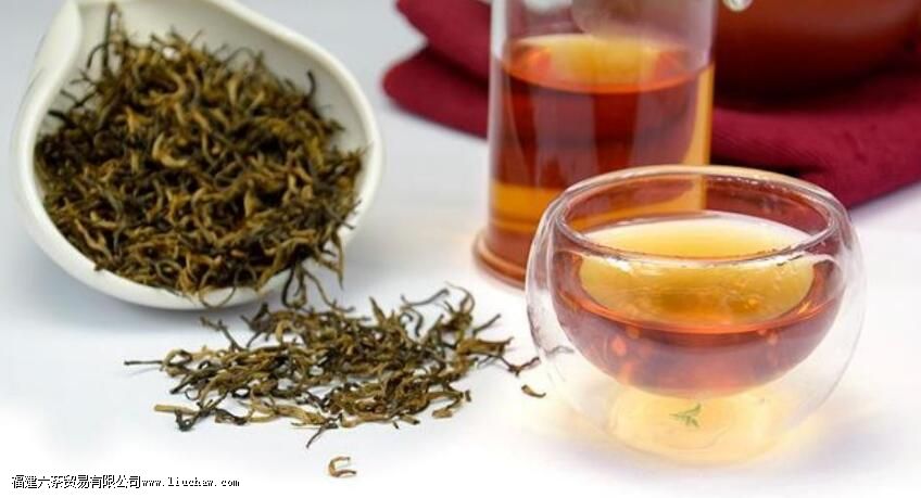 ��üͶ�����