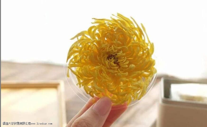 金丝皇菊盖碗的泡法 金丝皇菊盖碗的泡法