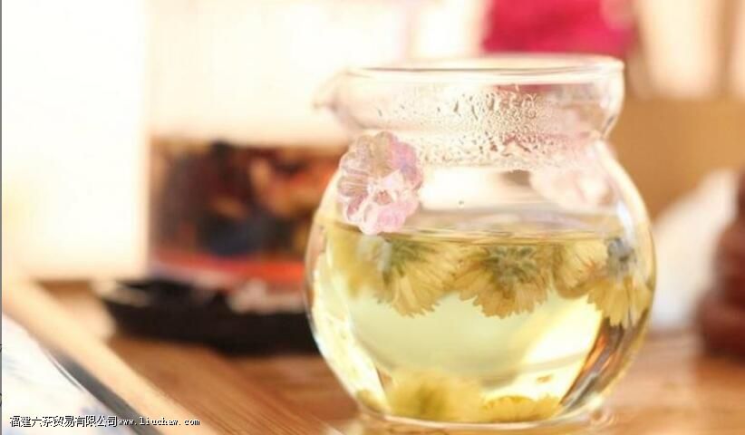 菊花决明子茶的喝法 菊花决明子茶的喝法