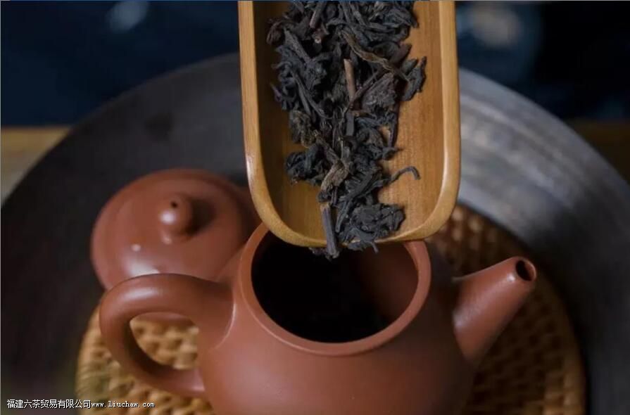 ��������ʲô���ݱȽϺ�