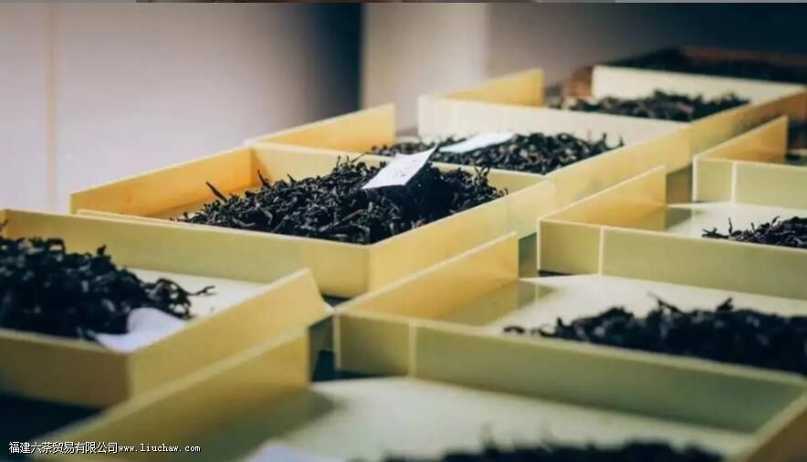 �̲������������