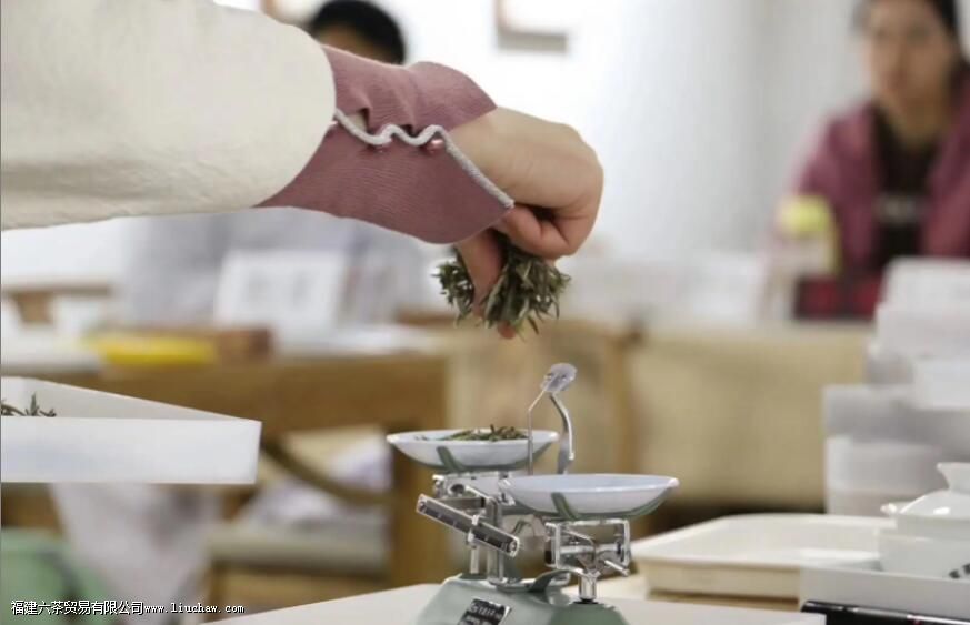 �̲������������