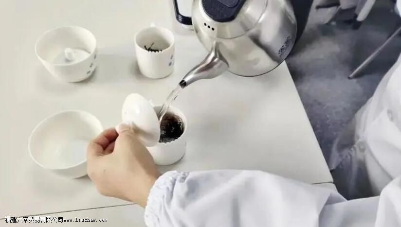 �̲������������