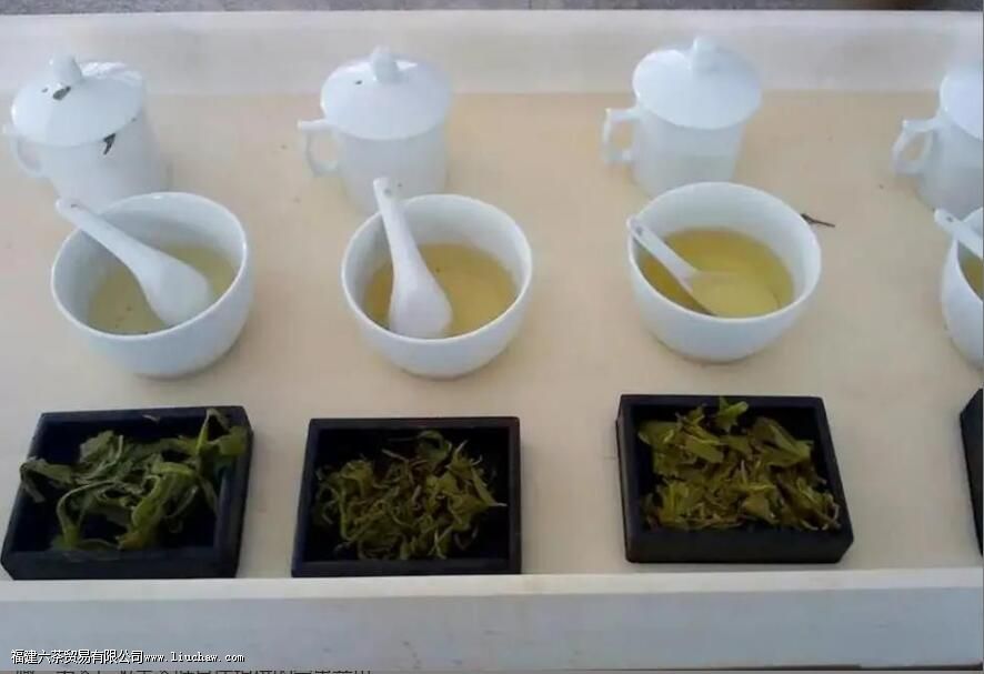 �̲������������