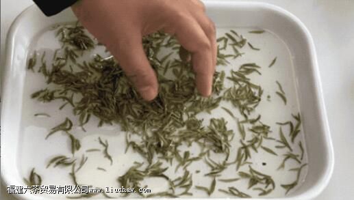 �̲������������