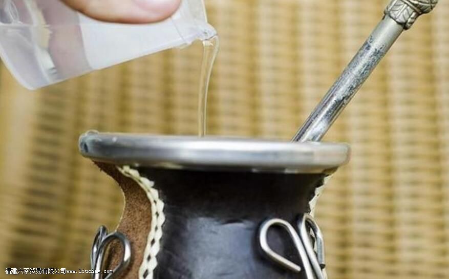 马黛茶怎么泡 马黛茶怎么泡