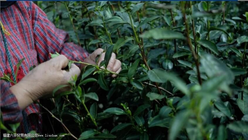 ��ǰ���ݴ���ô��