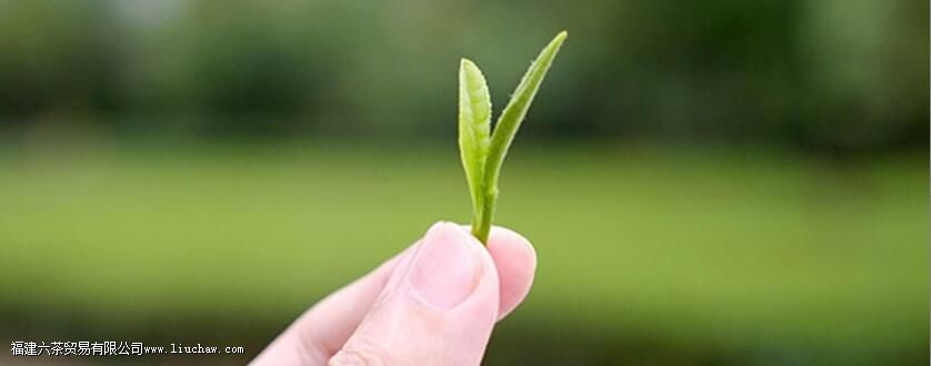 ��ǰ���ö��ٶȵ�ˮ��