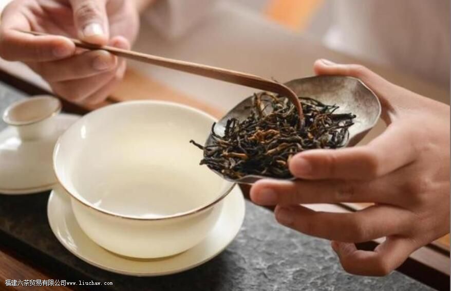 泡茶比例怎么控制 泡茶比例怎么控制