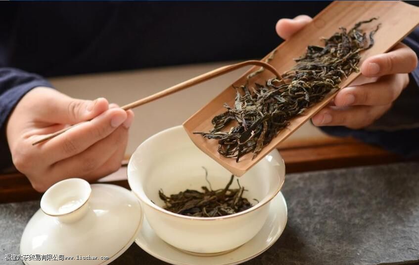 �ݲ��ɬ�Ѻȣ�ѧ���⼸�У���һ���úȵĲ費��