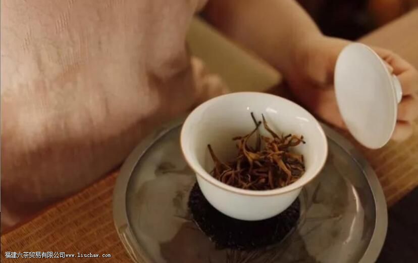 �ݲ��ɬ�Ѻȣ�ѧ���⼸�У���һ���úȵĲ費��