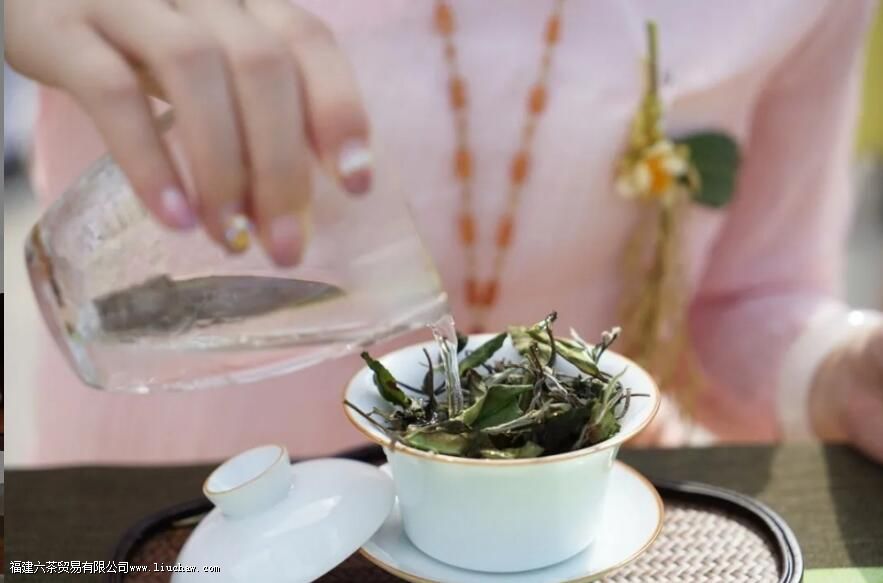 泡好一杯茶,注水方式很关键 泡好一杯茶,注水方式很关键