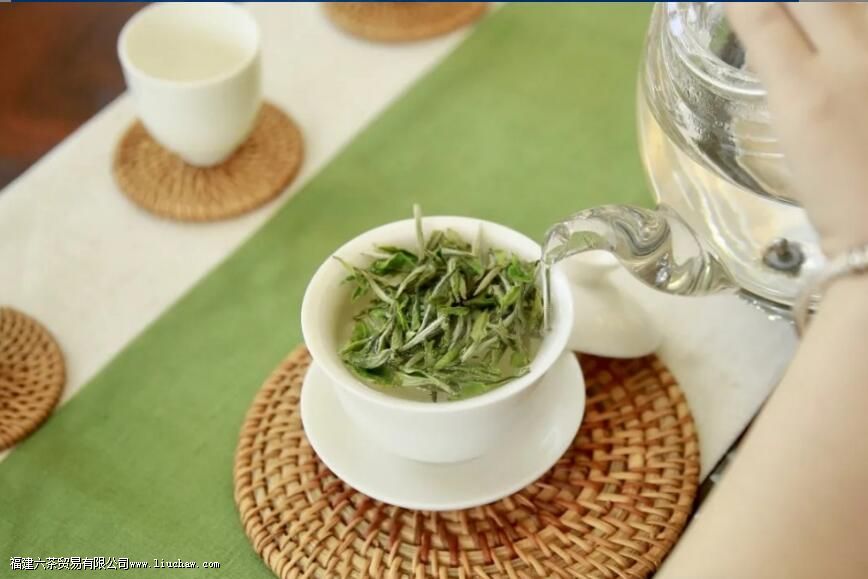 泡好一杯茶,注水方式很关键 泡好一杯茶,注水方式很关键