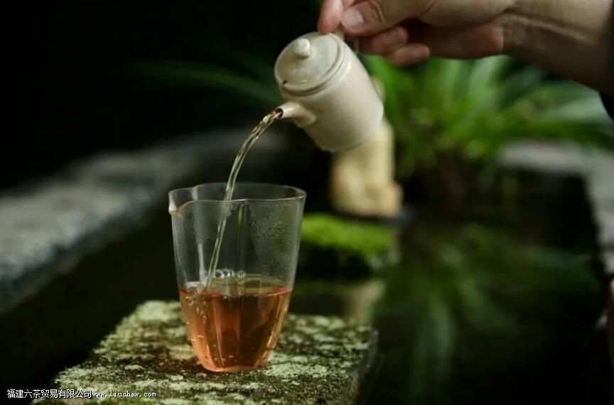 泡好一杯茶,注水方式很关键 泡好一杯茶,注水方式很关键