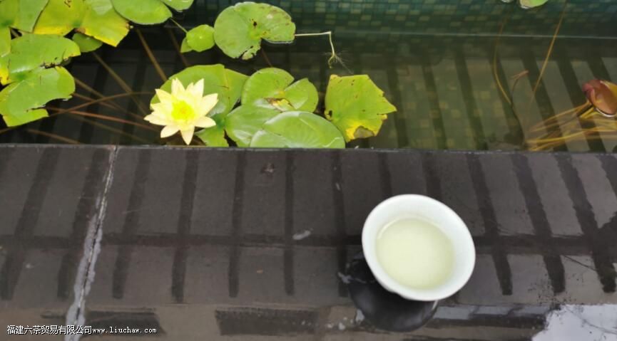 ���̲�ÿ�˲�����ˮ