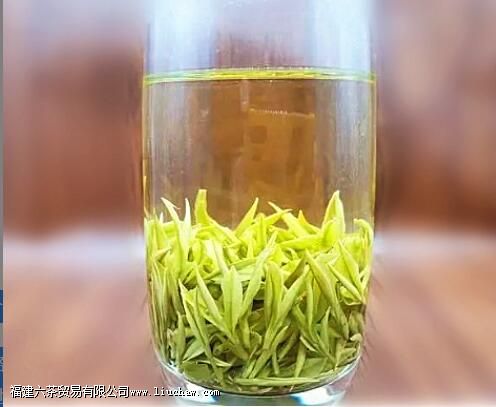 泡一杯绿茶,投茶量多少合适 泡一杯绿茶,投茶量多少合适