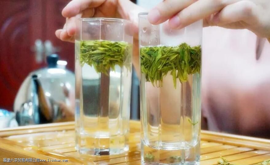 泡一杯绿茶,投茶量多少合适 泡一杯绿茶,投茶量多少合适