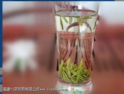 泡一杯绿茶,投茶量多少合适 泡一杯绿茶,投茶量多少合适