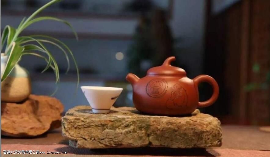 普洱茶用什么茶杯比较好 普洱茶用什么茶杯比较好