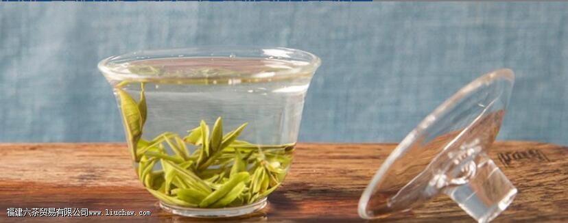 ʲô��Ҷ�ݳ��������