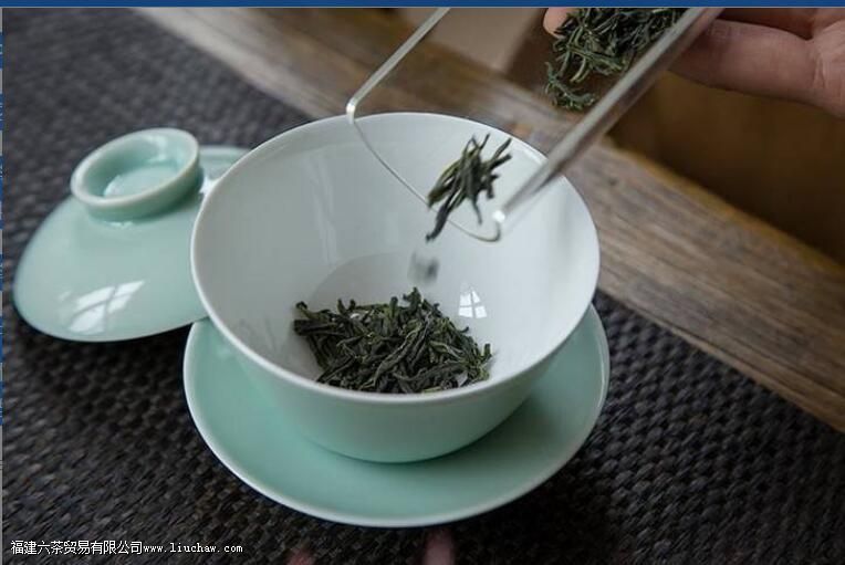 ʲô��Ҷ�ݳ��������