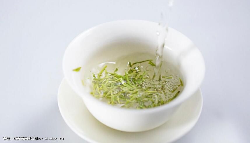 ʲô��Ҷ�ݳ��������