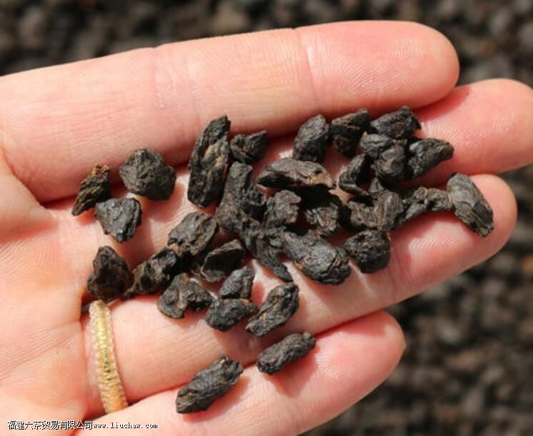 碎银子普洱茶为什么泡出来是苦的 碎银子普洱茶为什么泡出来是苦的