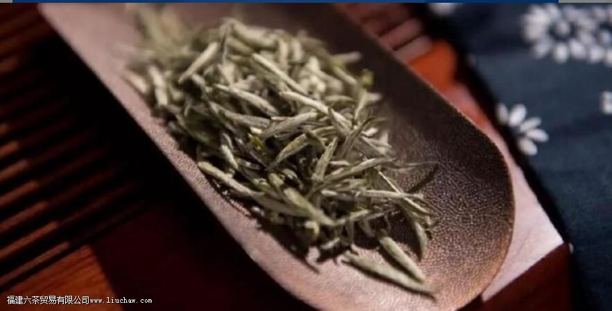 ̤ѩ��������ݷ���