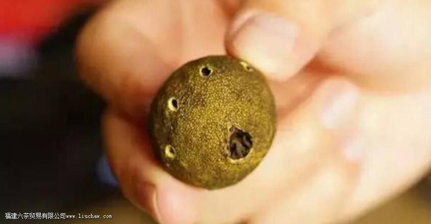 天马小青柑怎么喝 天马小青柑怎么喝