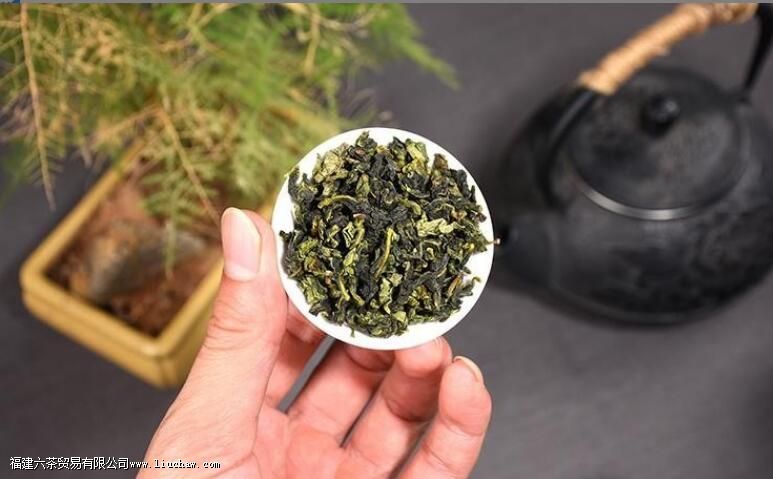 ���������ݶ�����