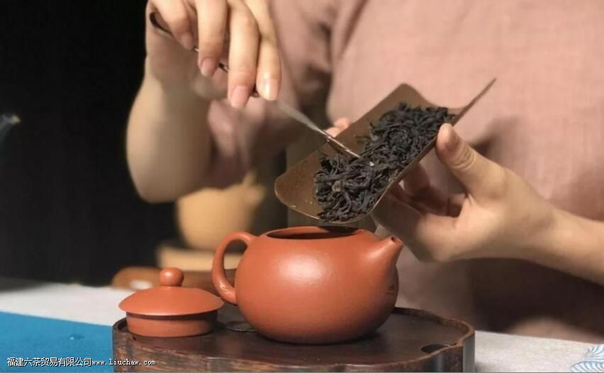 乌龙茶用几度的水温 乌龙茶用几度的水温