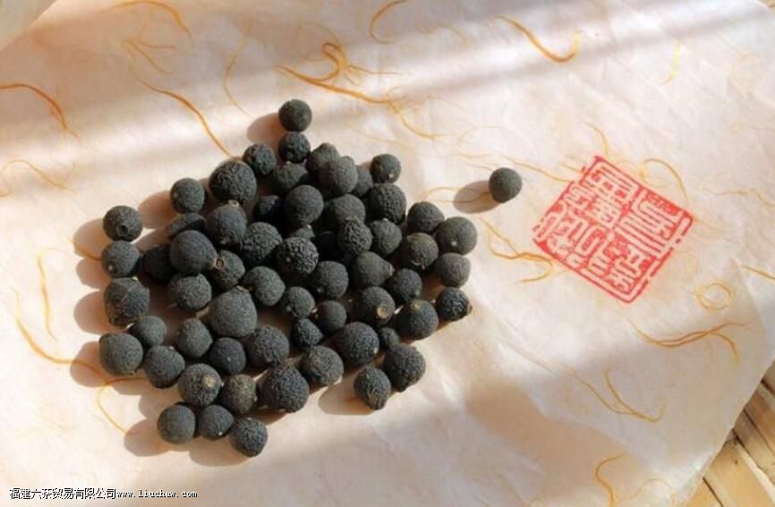 С��̥�ĳ��ݷ����뼼��