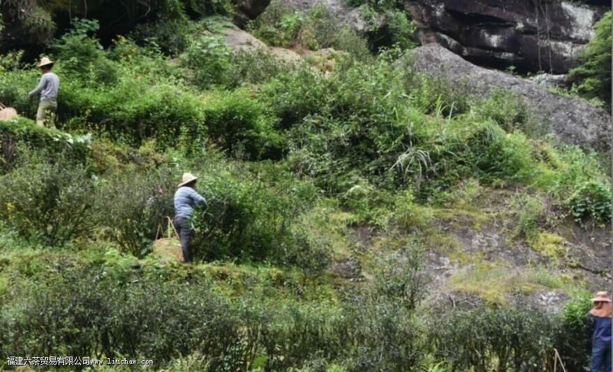 �Ҳ�������