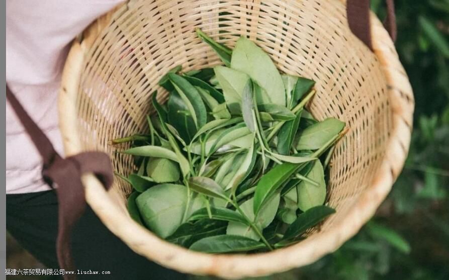 �Ҳ�������