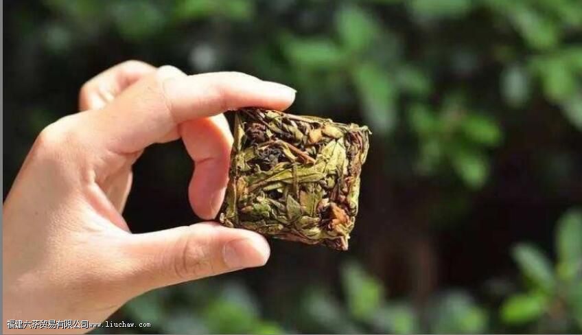 漳平水仙茶怎么泡 漳平水仙茶怎么泡