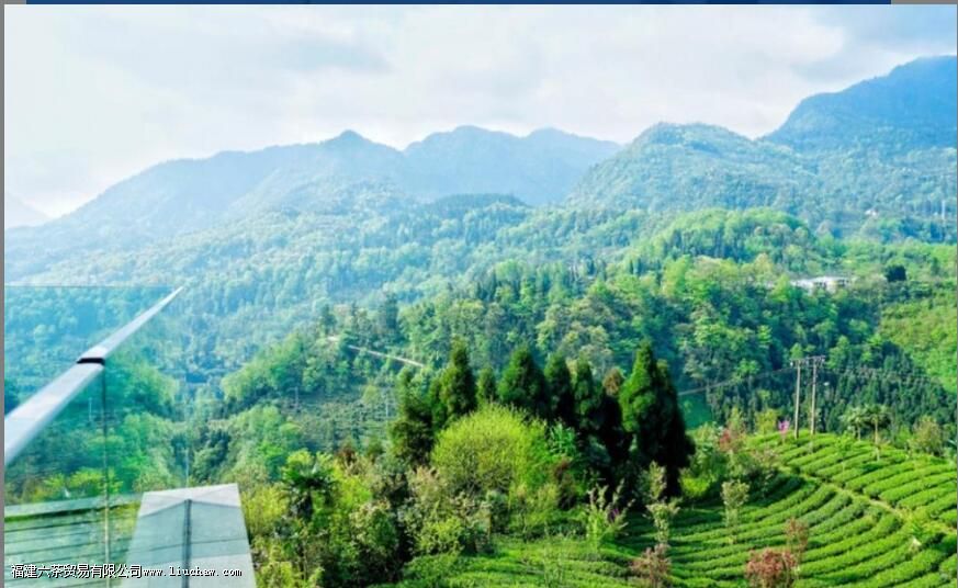 ��Ҷ����ö��ٶȵ�ˮ�ݺ���