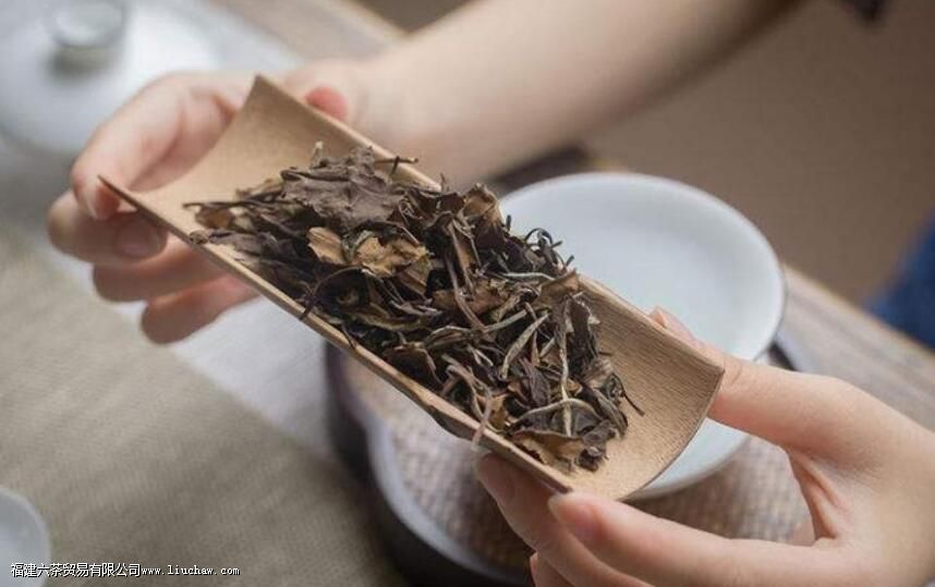 白茶如何储存,注意这些要点才能越存越好 白茶如何储存,注意这些要点才能越存越好