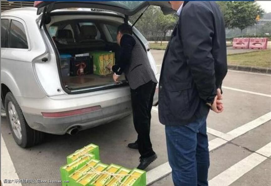 茶叶放车里高温还能用吗 茶叶放车里高温还能用吗