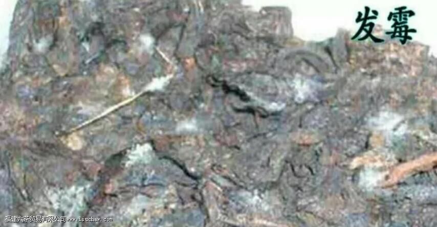 茶叶没拆封但过了保质期,还能不能喝 茶叶没拆封但过了保质期,还能不能喝