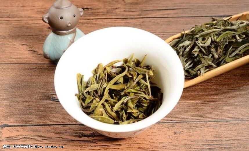 ��Ҷ�ܷŶ��