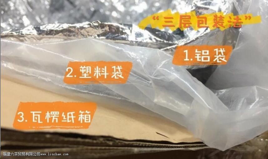 ��Ҷ��Ҫ�ű��䱣����