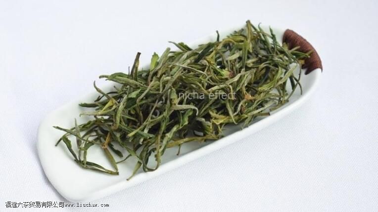 ��Ҷһ�㱣�治�ܸ��ڶ��ٶ�