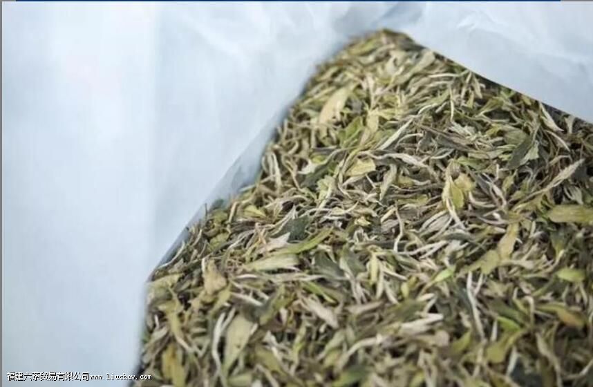 ��Ҷ�ڴ�Ź����У����׷�������Щ�仯