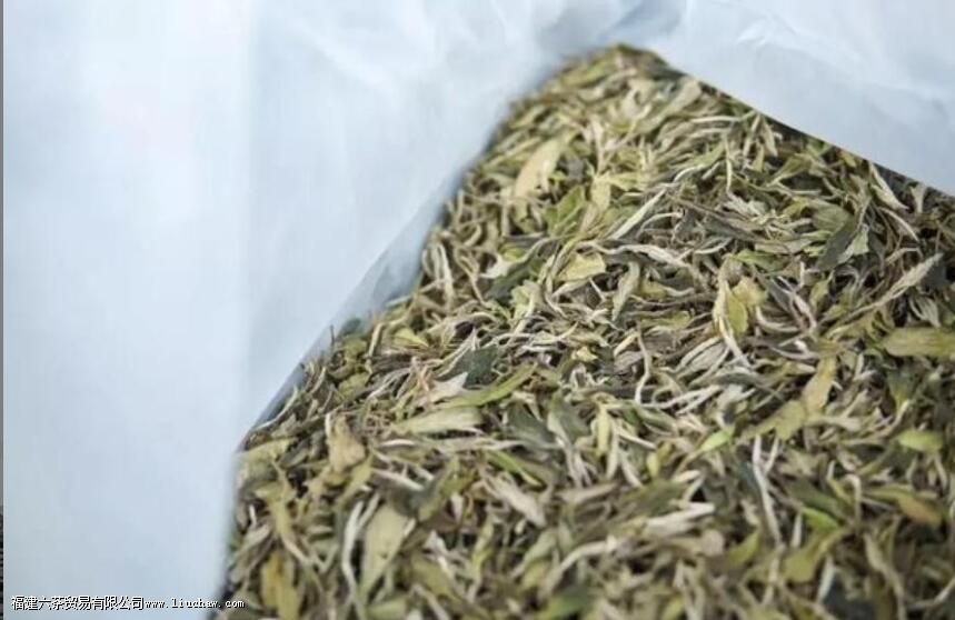 ��Ҷ����������