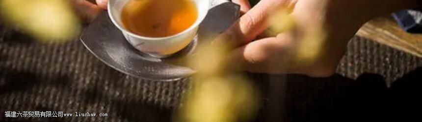 黑茶保质期 黑茶保质期