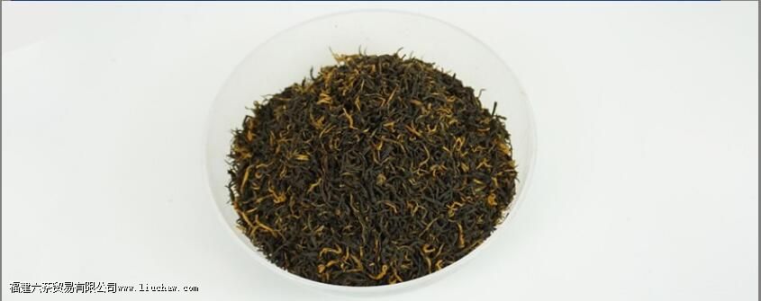 �����������豣����