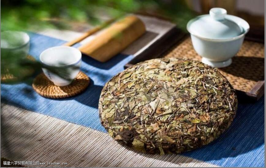 ��ѧ���裬���ڳ·ŵĲ�Ҷ�����ܺ���