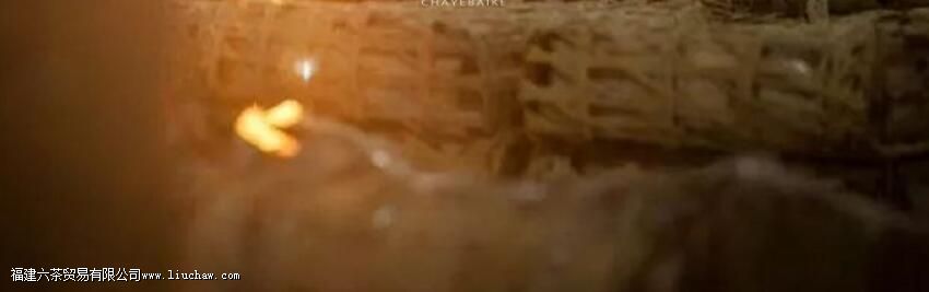 �ϲ�ִ����㶫�֡������֡������֡��۲���֪����